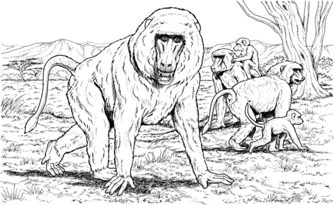 Baboon Family Coloring Page